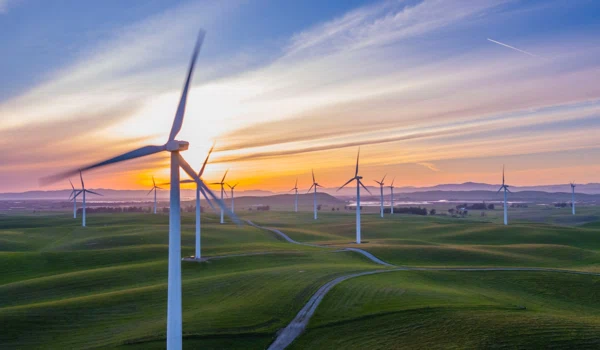 10 Upstart Brands On Dealspotr Who Are Out To Save The Environment