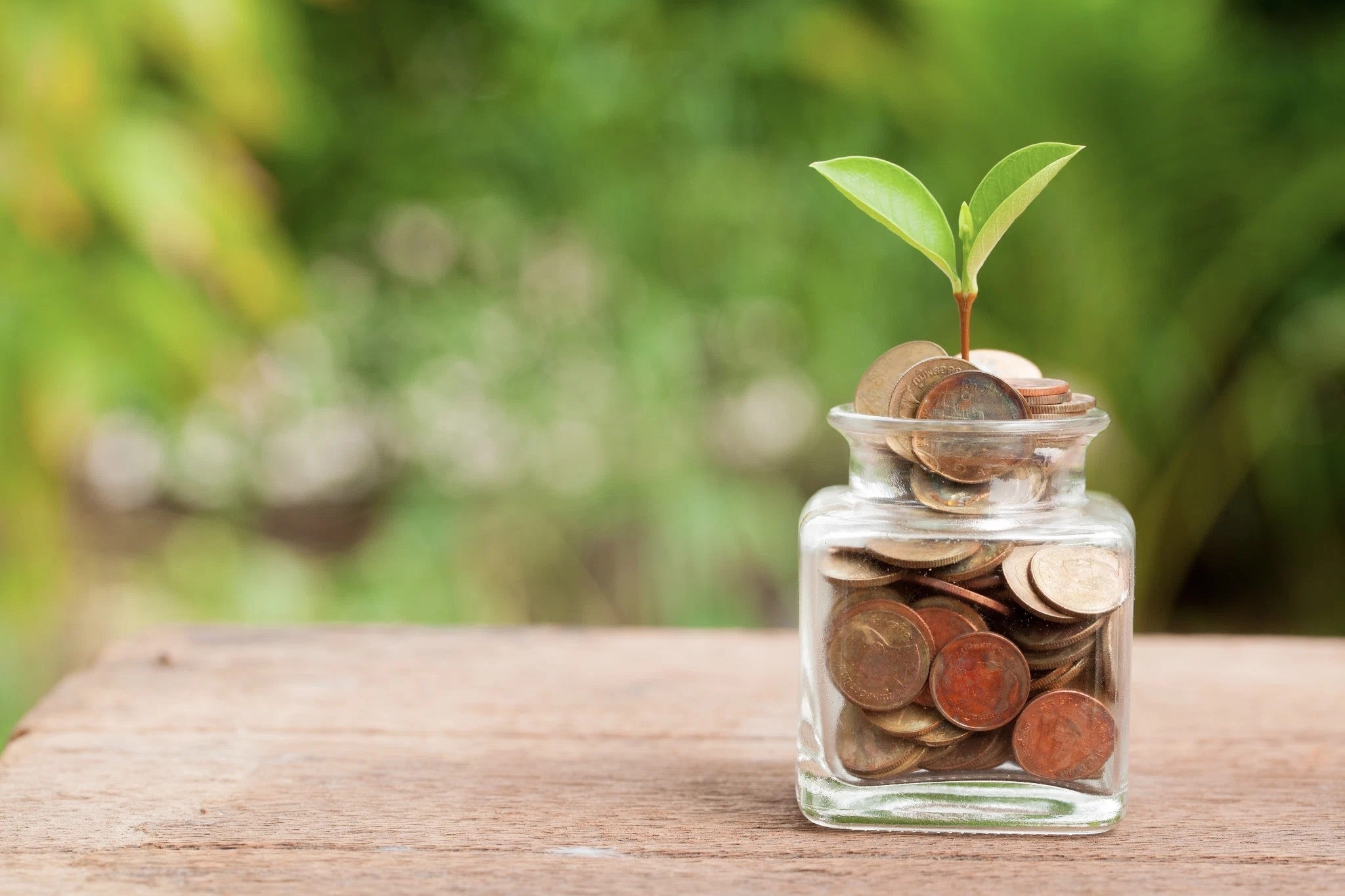 7 Things You Should Never Pay Full Price For