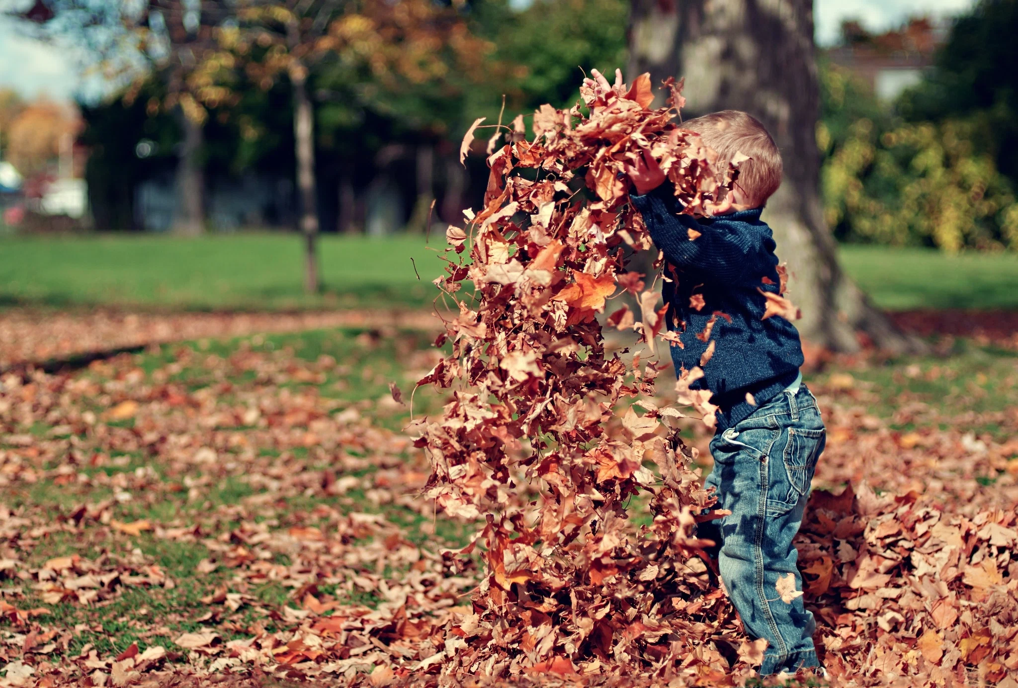 8 Things That Are Cheaper to Buy in the Fall
