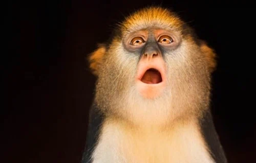 Get Gorgeous Royalty-Free Stock Photos From Getty Images