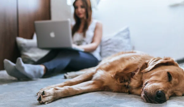 90+ Discounts and Financial Aid Resources for Pet Insurance, Prescriptions, & Other Pet Care Expenses