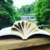 @bookbriefs
