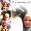 @catanddogcaren