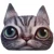 @Catticat