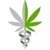 @cbdmedic