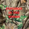 @ExplorinInTheWoods