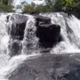 @fautinolopezjose