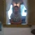 @GabrielJjulio