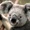 @GLARIS