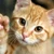 @jhonny44