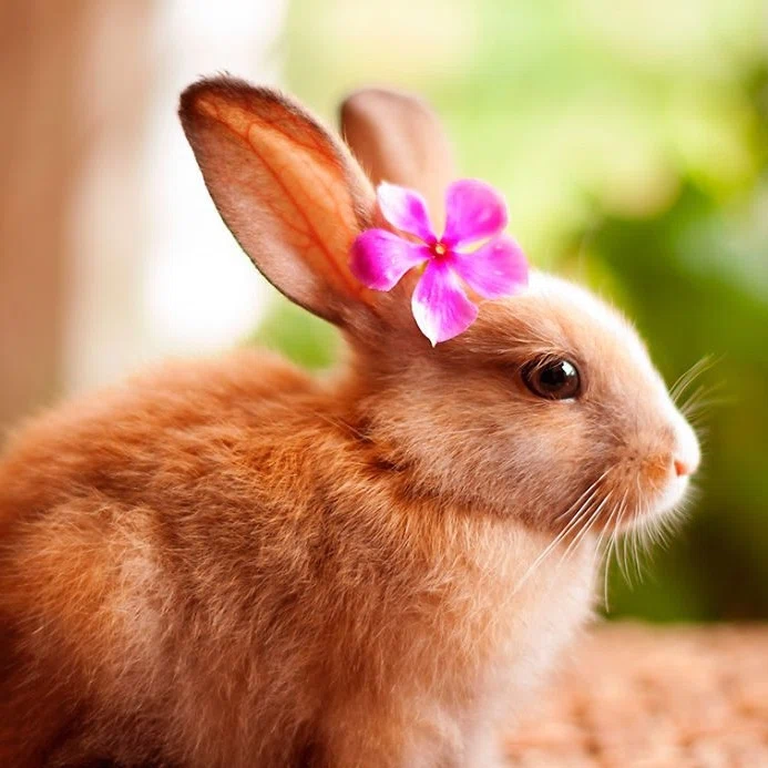 natybla Profile Image