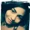 @naymeneses