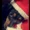 @oncesoca