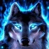 @shivp5381_TZVQ