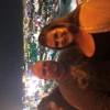 @thevegasbishops