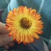 @unimaginedblessings