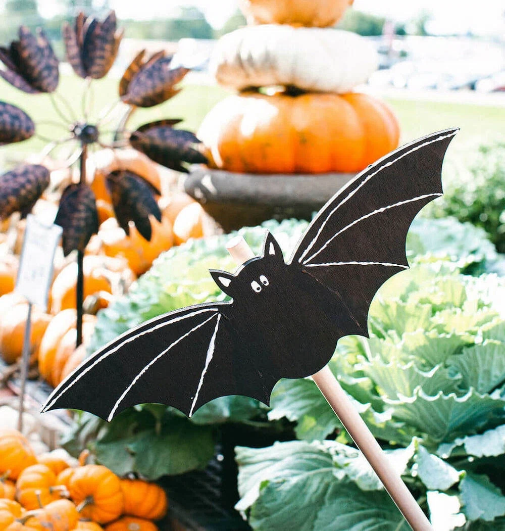 weekly top 5 spooky decor products to decorate with this halloween