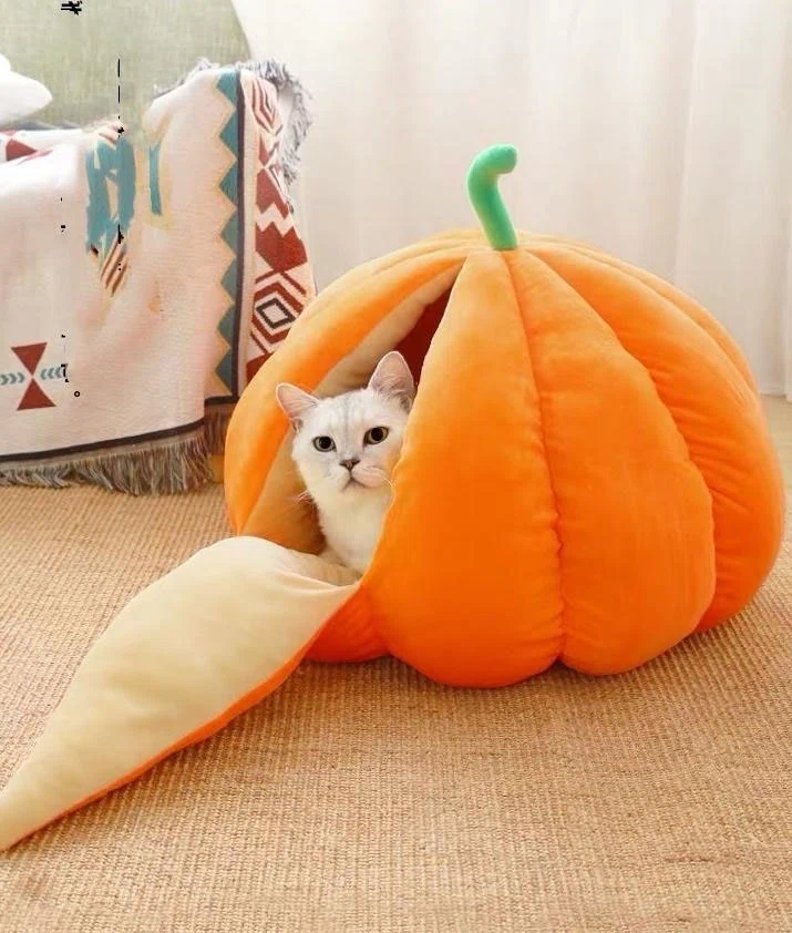weekly top 5 spooky decor products to decorate with this halloween