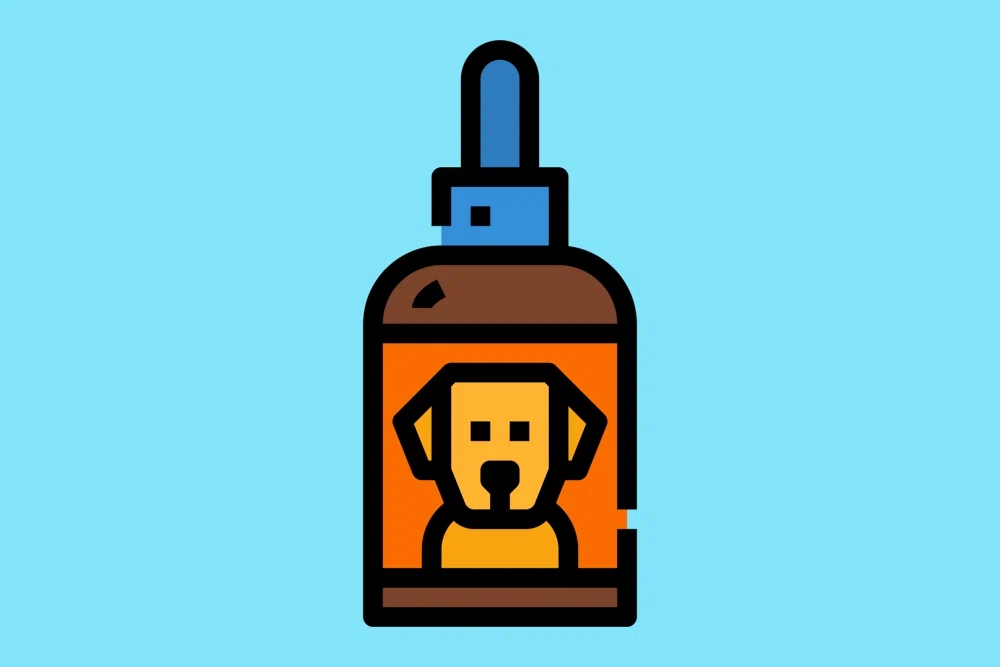Top Five Dog Vitamin and Supplement Brands for the Healthiest Pup in Town