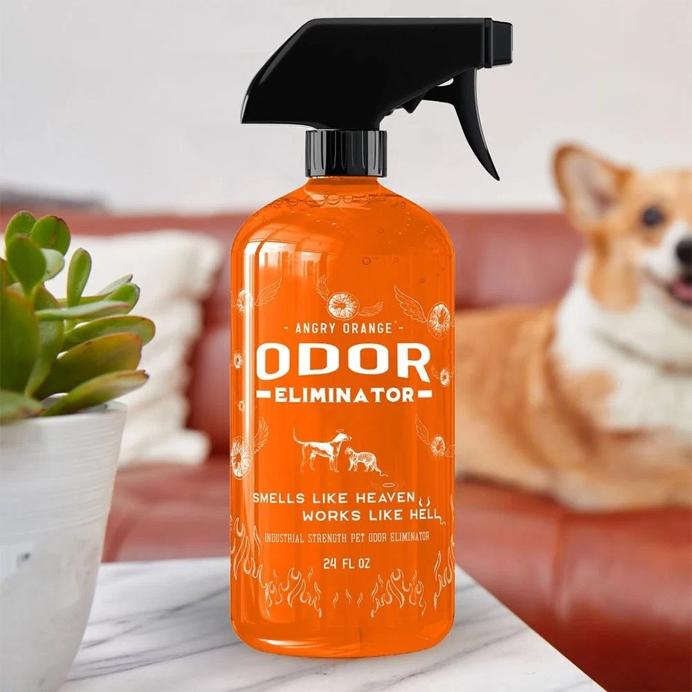 the pet travel beginners guide 5 things you need to buy before you fly
