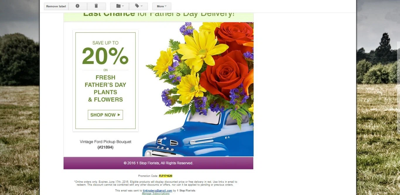 viviano flowers coupons