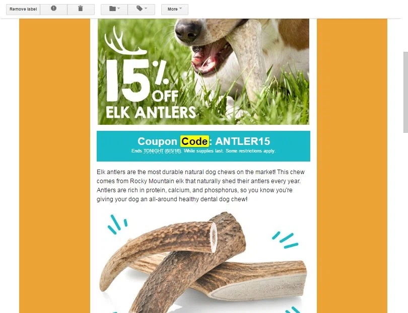 Bumper bully discount coupon code