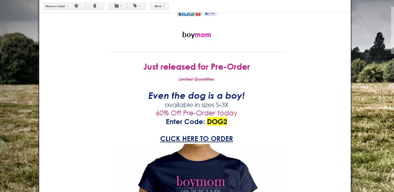 Boymom coupon code
