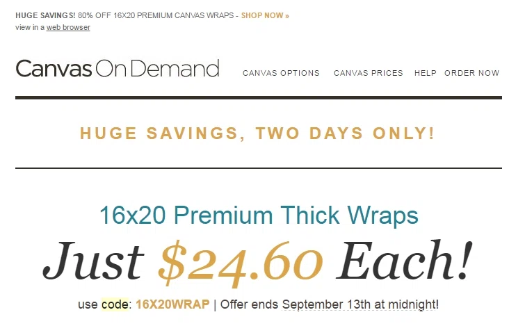 Canvas on demand coupon code