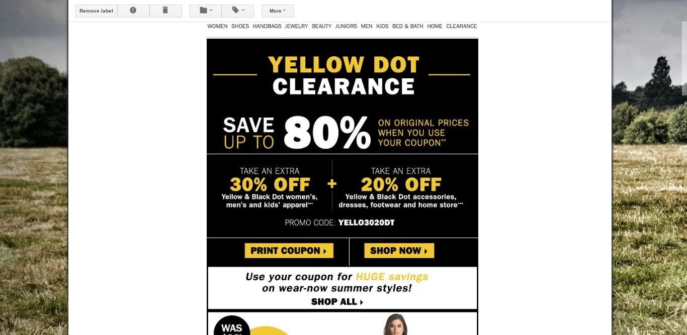 Carson's 40 yellow dot coupon