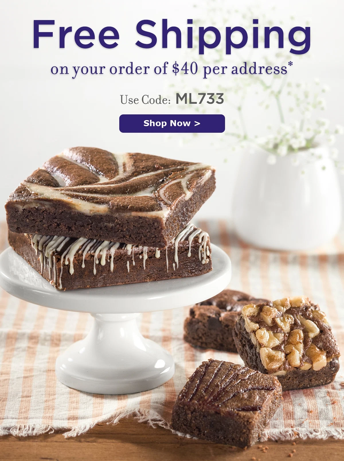 Fairytale brownies coupon code