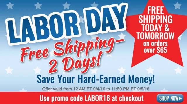 Www freshfinds com coupons