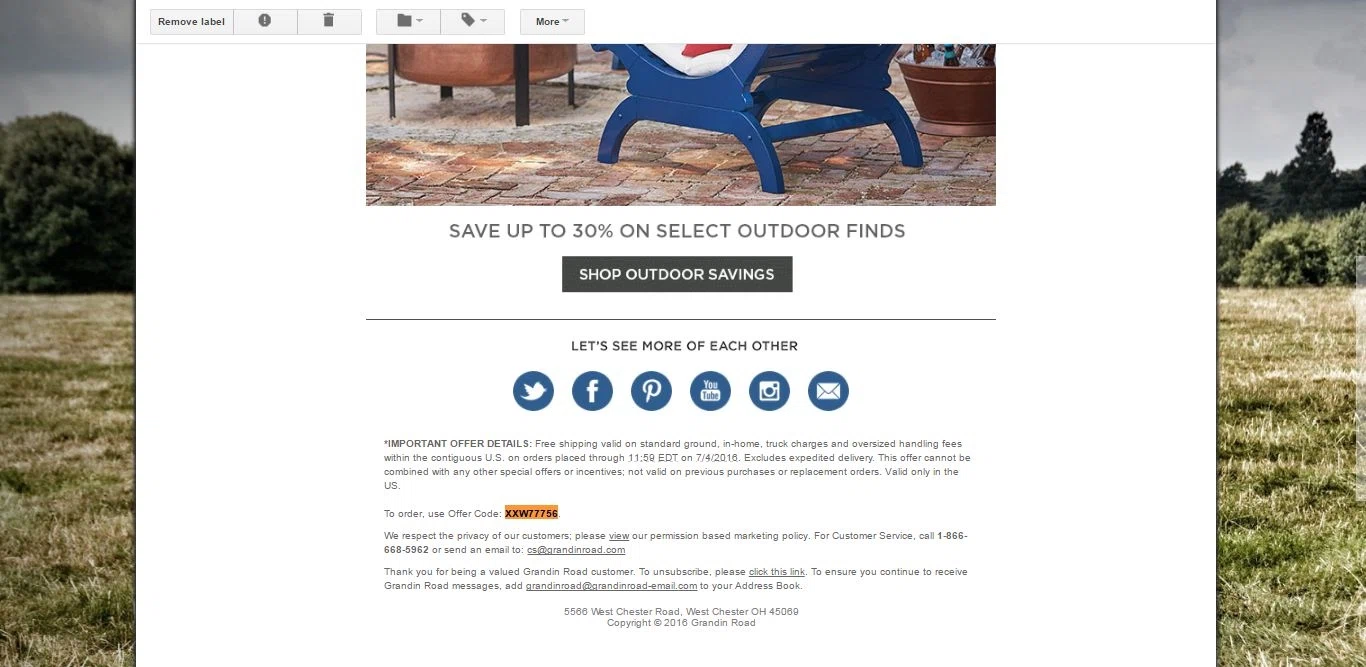 Patience brewster discount coupons