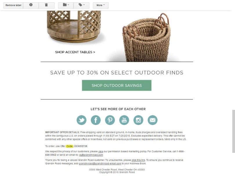 Patience brewster discount coupons