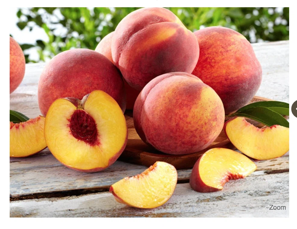 Hale groves coupon code