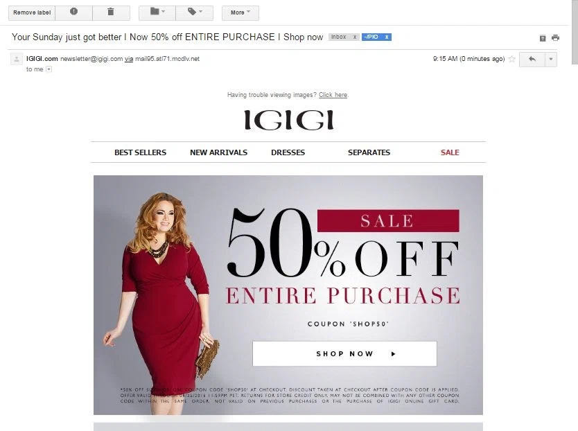 Lanebryant coupon code