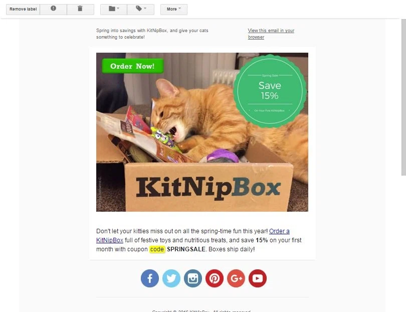 Kitnipbox coupon code
