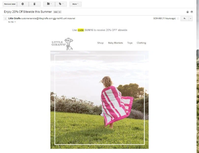 Little giraffe coupon code