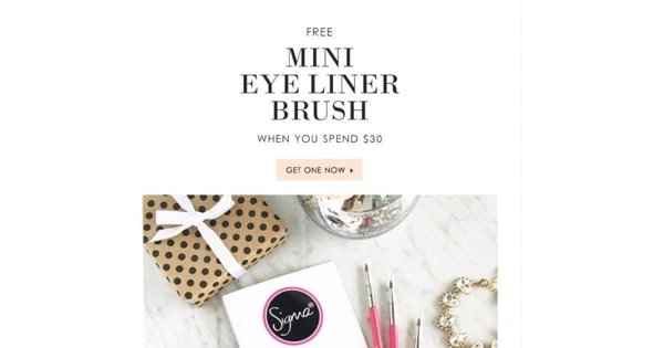Sigma brushes coupon june 2018