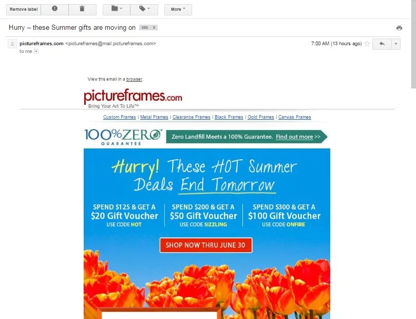 Pictureframes com coupon code