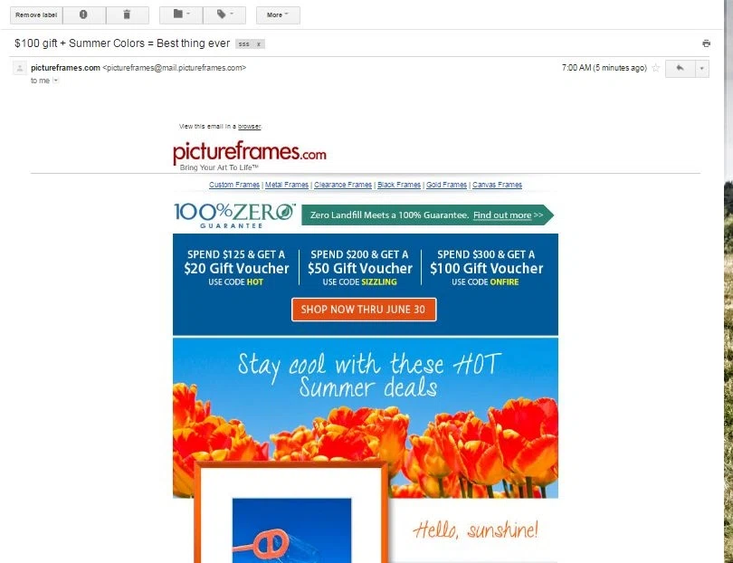 Pictureframes com coupon code