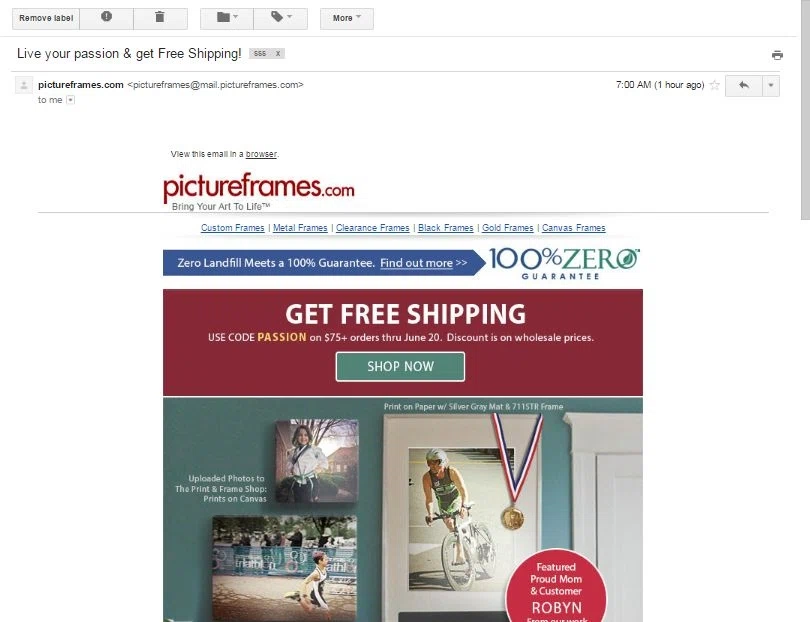 Pictureframes com coupon code