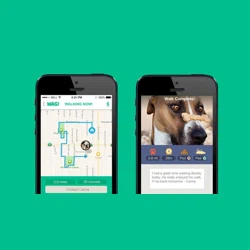wag walking price free wag walking free 30 min walk lockbox wag walking app with code liga8018 wag walking price free wag walking free 30 min walk lockbox wag walking app with code liga8018