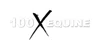 100X Equine logo