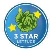 3 Star Lettuce