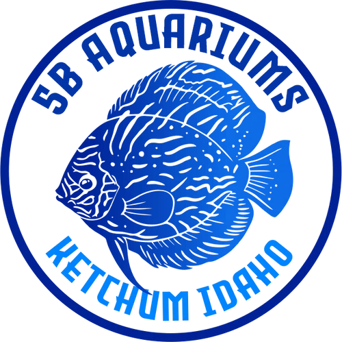5B Aquarium Supplies