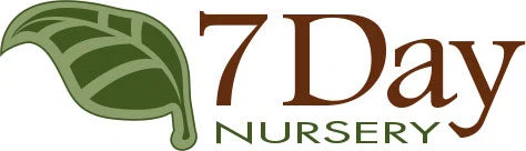 7 Day Nursery