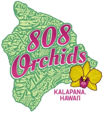 808 Orchids