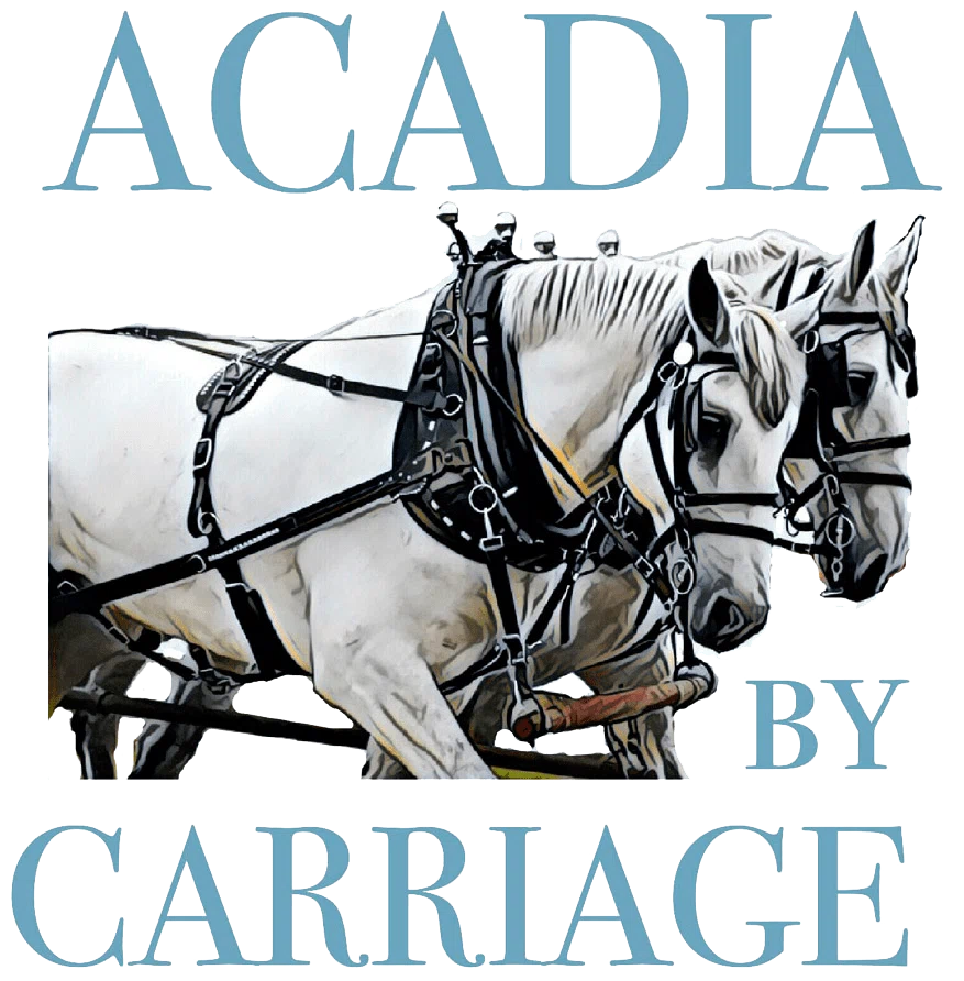 Acadia by Carriage