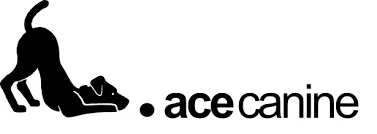 Ace Canine