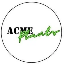 Acme Plants Logo for Promo Codes